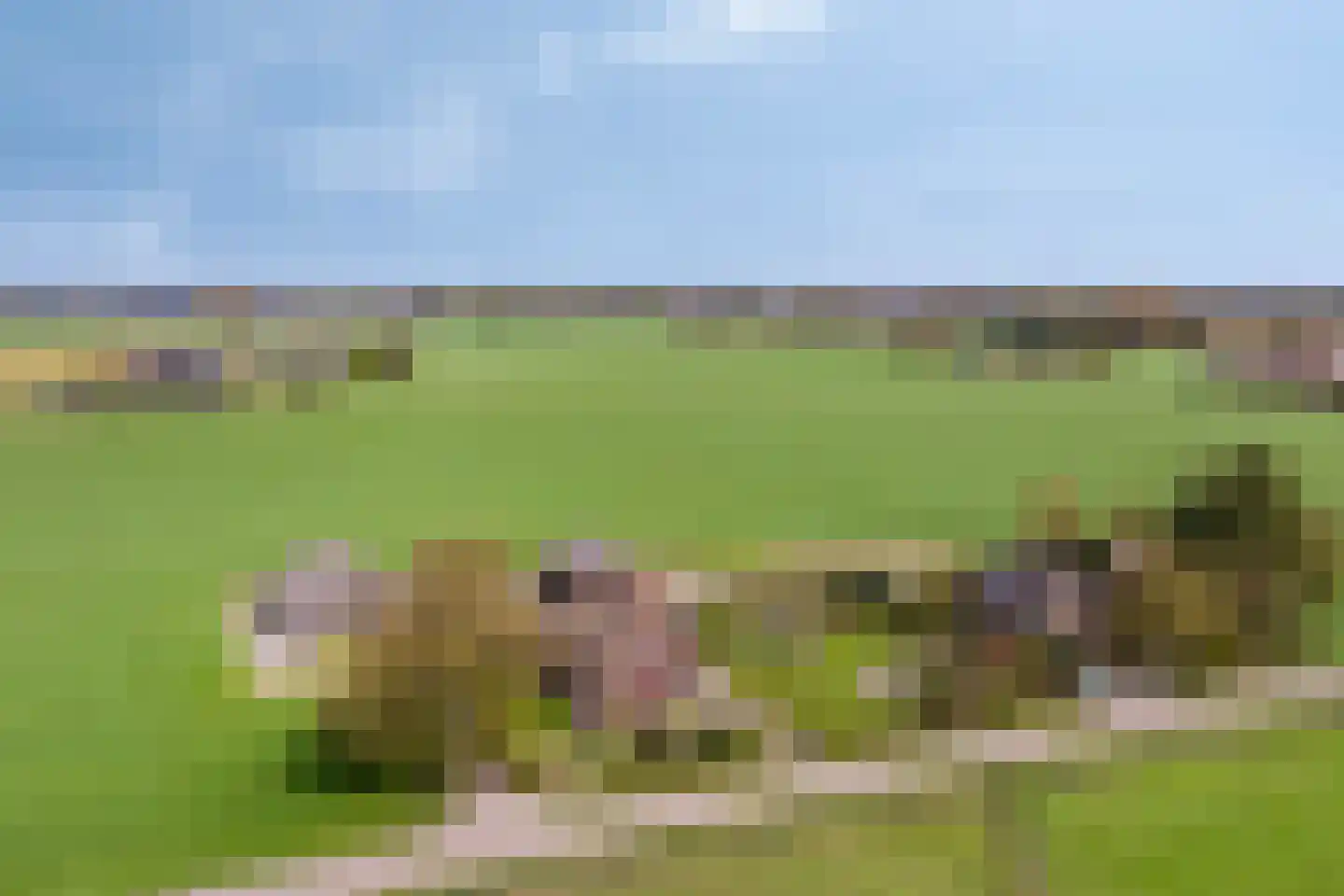 Groot Lobberikweg 2 a Loerbeek thumbnail 73