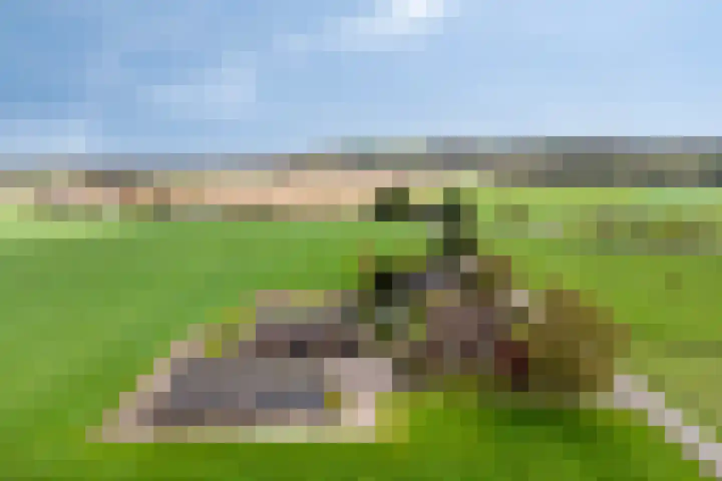 Groot Lobberikweg 2 a Loerbeek thumbnail 74