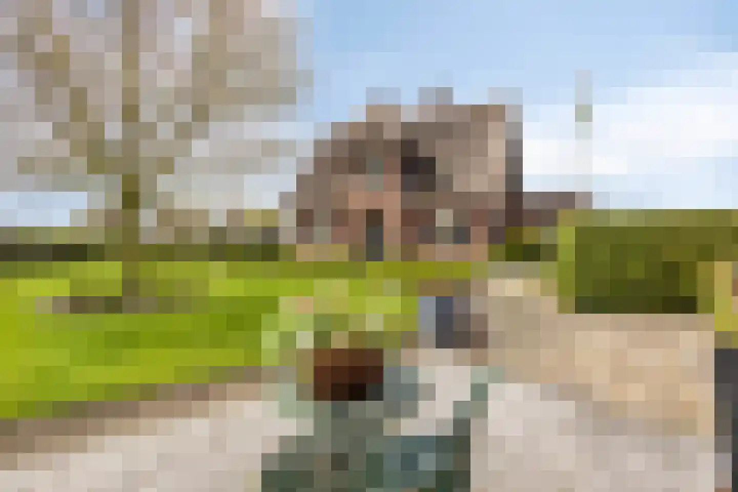 Groot Lobberikweg 2 a Loerbeek thumbnail 8