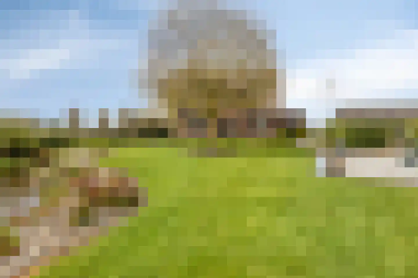 Groot Lobberikweg 2 a Loerbeek thumbnail 9