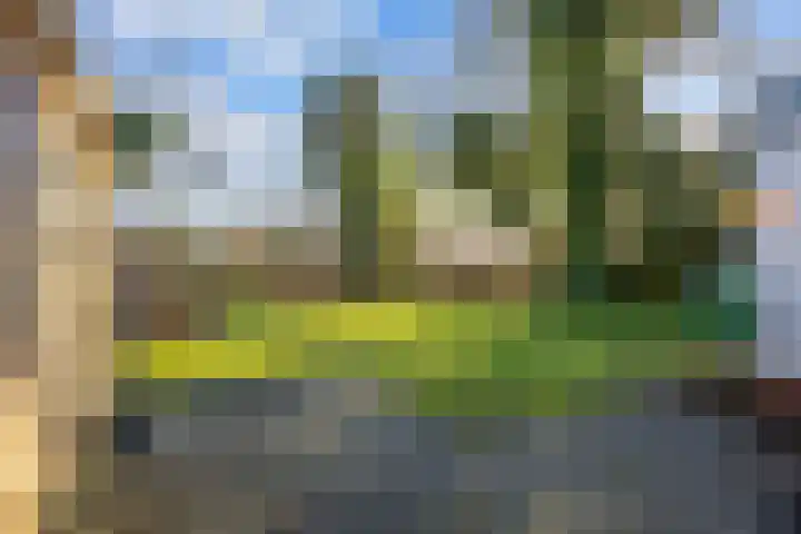 Groot Maarslag 2 Mensingeweer thumbnail 45