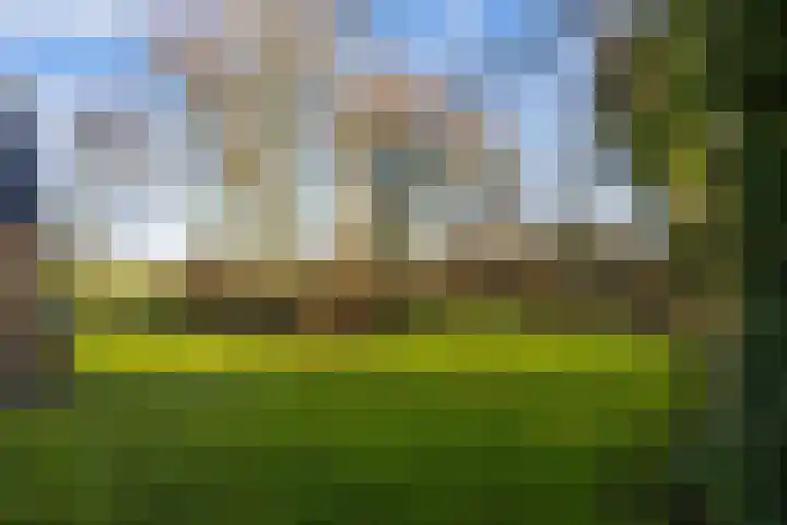 Groot Maarslag 2 Mensingeweer thumbnail 46