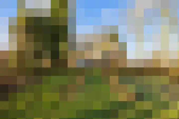 Groot Maarslag 2 Mensingeweer thumbnail 50