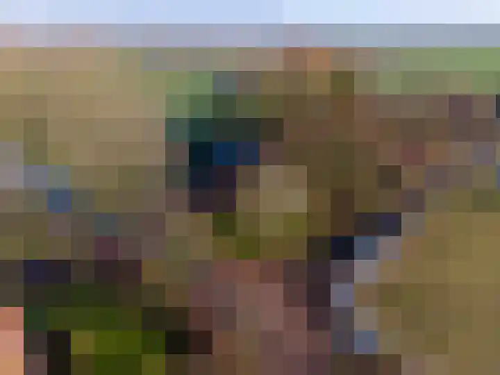 Groot Maarslag 2 Mensingeweer thumbnail 57