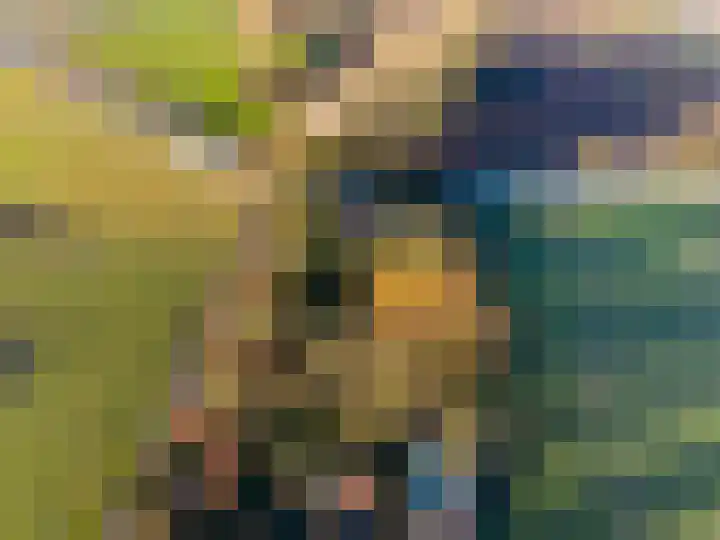 Groot Maarslag 2 Mensingeweer thumbnail 59