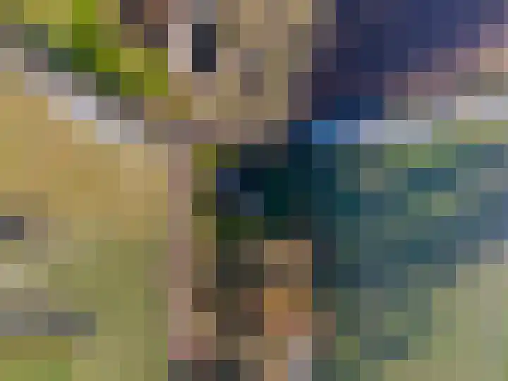 Groot Maarslag 2 Mensingeweer thumbnail 60