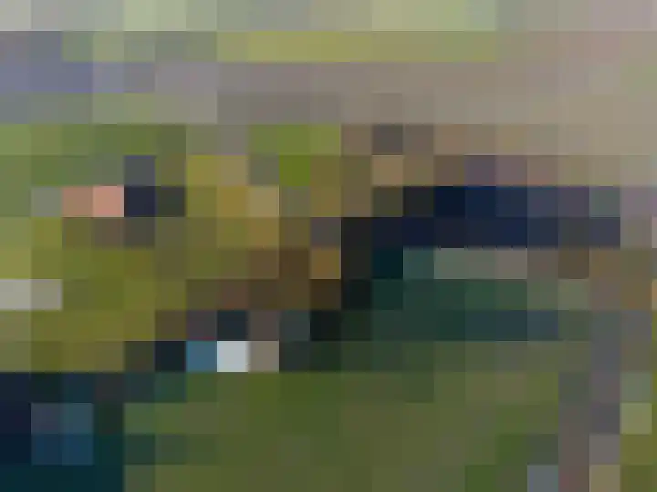 Groot Maarslag 2 Mensingeweer thumbnail 61