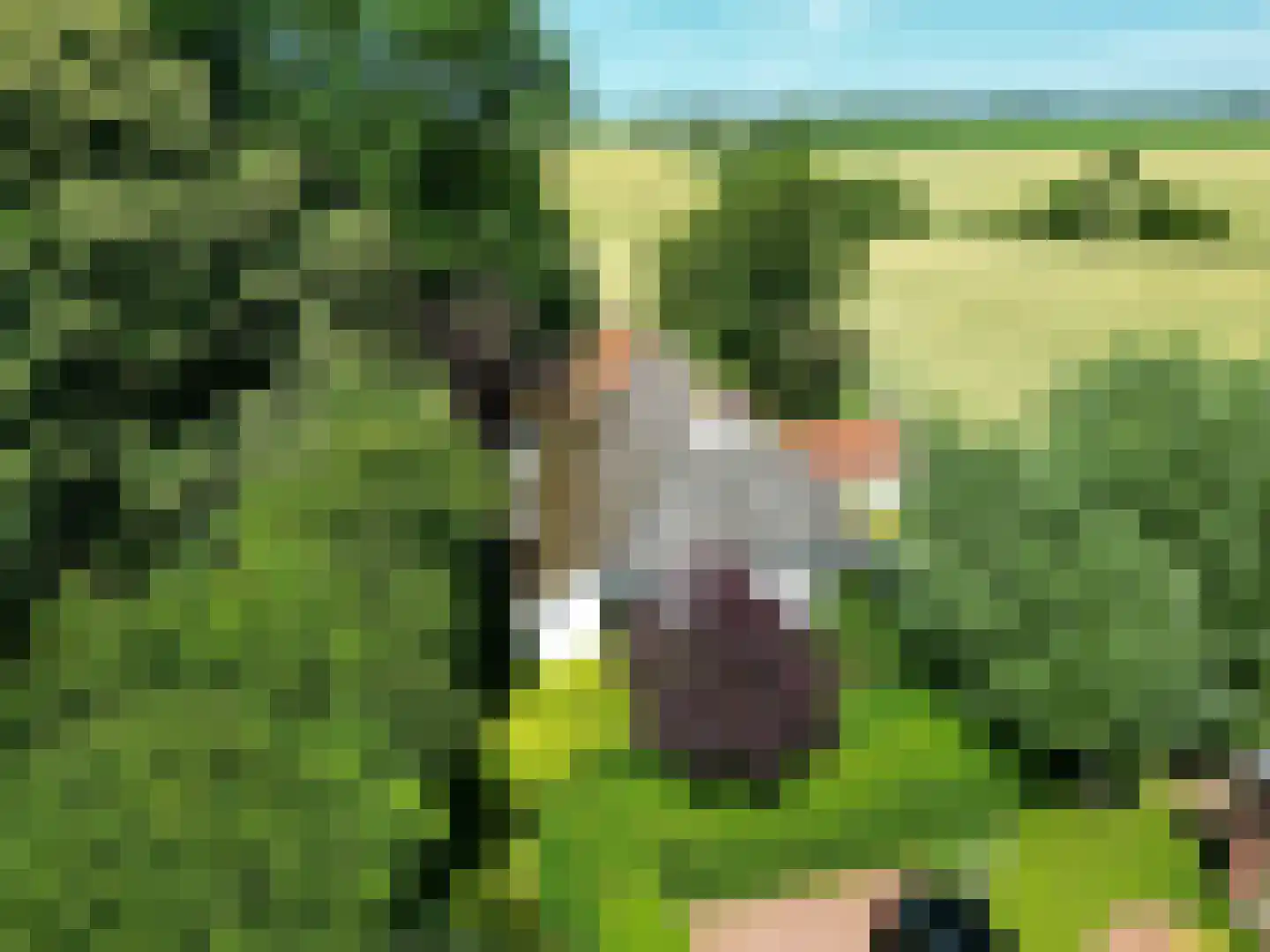 Groot Maarslag 4 Mensingeweer thumbnail 12