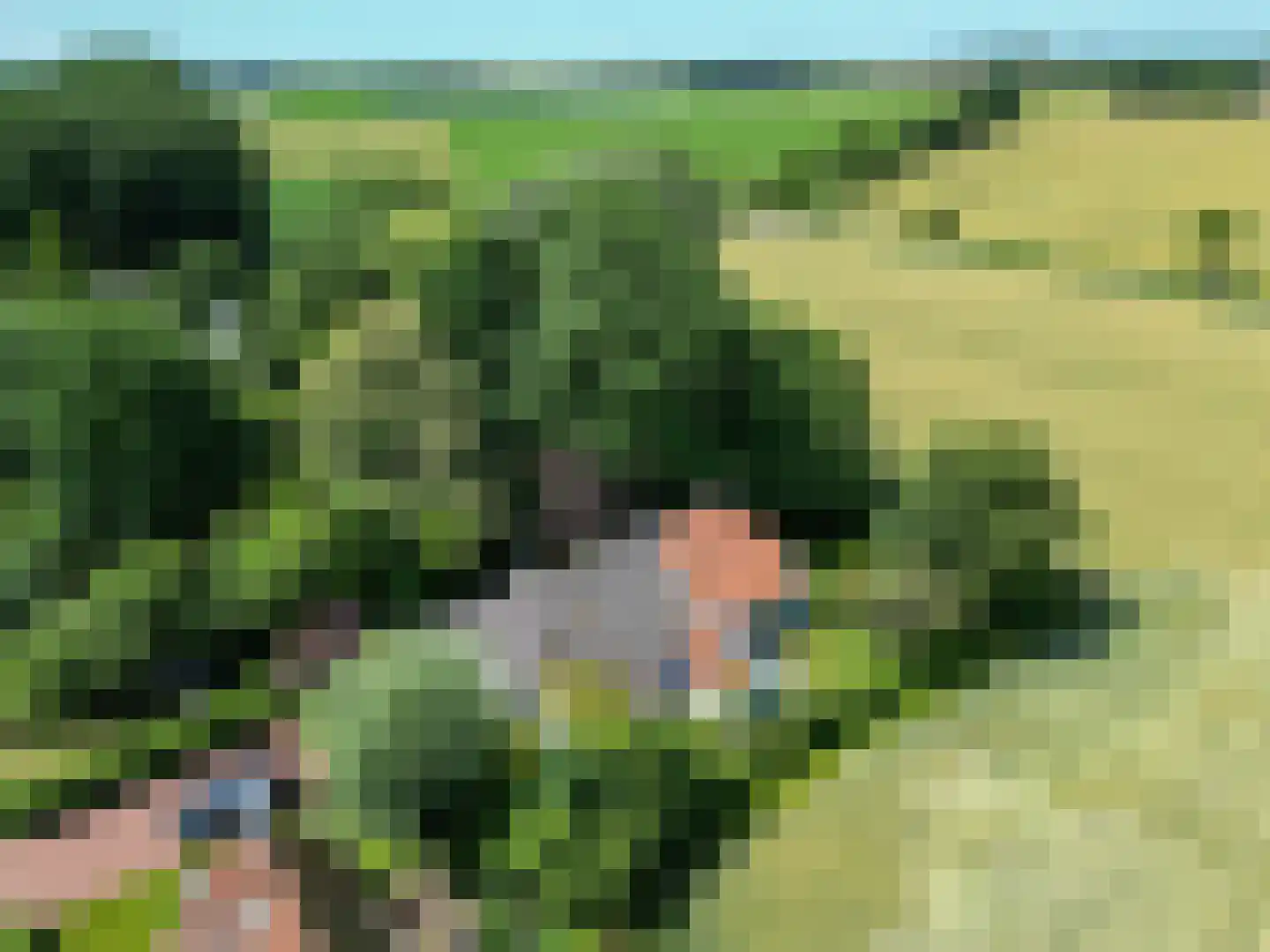Groot Maarslag 4 Mensingeweer thumbnail 13