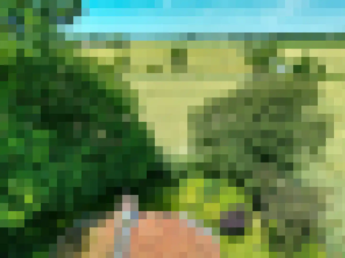 Groot Maarslag 4 Mensingeweer thumbnail 14