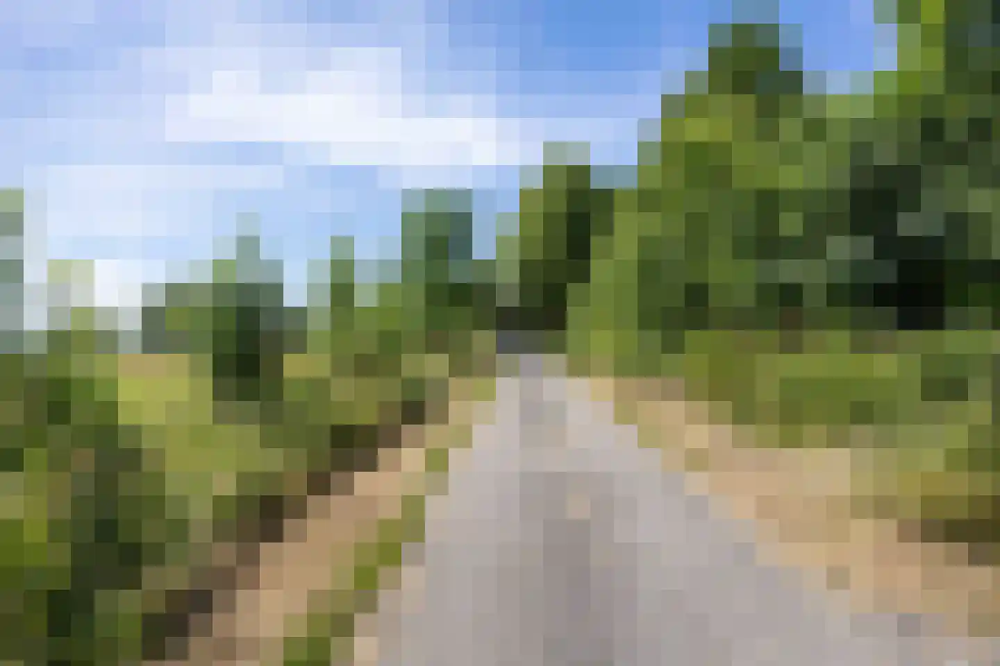 Groot Maarslag 4 Mensingeweer thumbnail 15