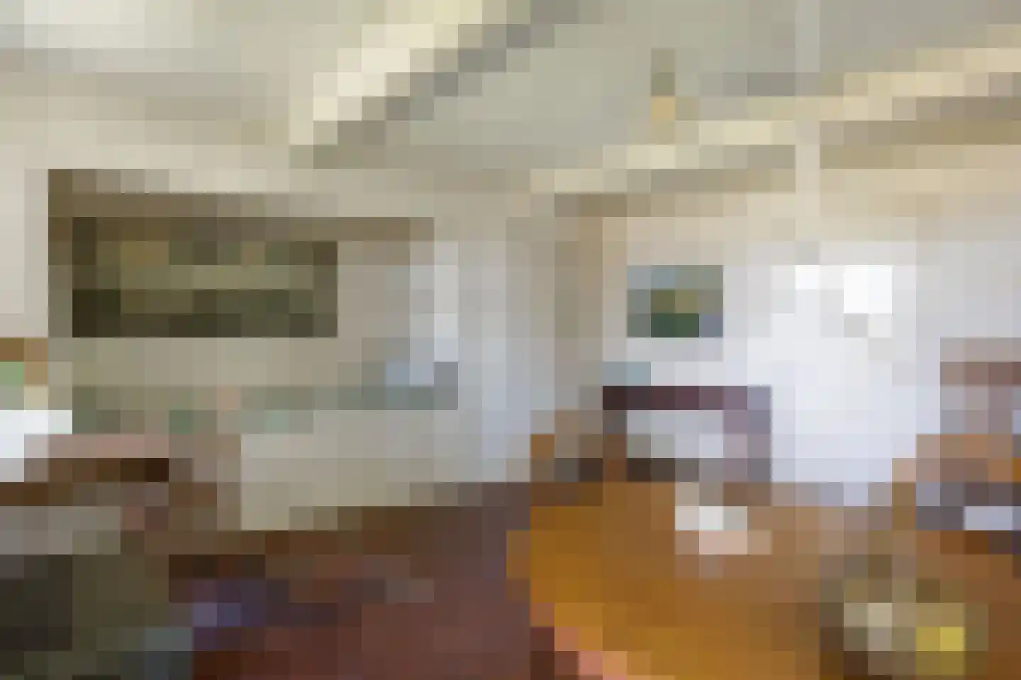 Groot Maarslag 4 Mensingeweer thumbnail 26