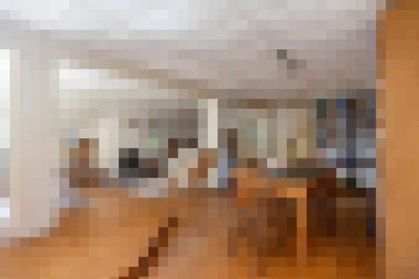 Groot Maarslag 4 Mensingeweer thumbnail 34