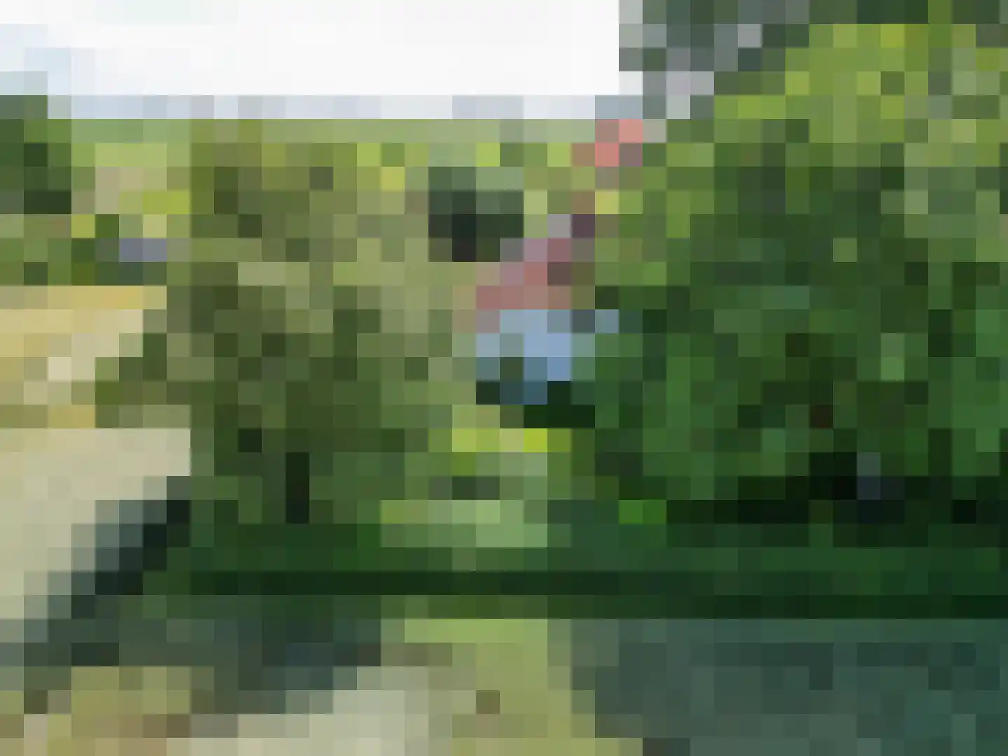 Groot Maarslag 4 Mensingeweer thumbnail 4