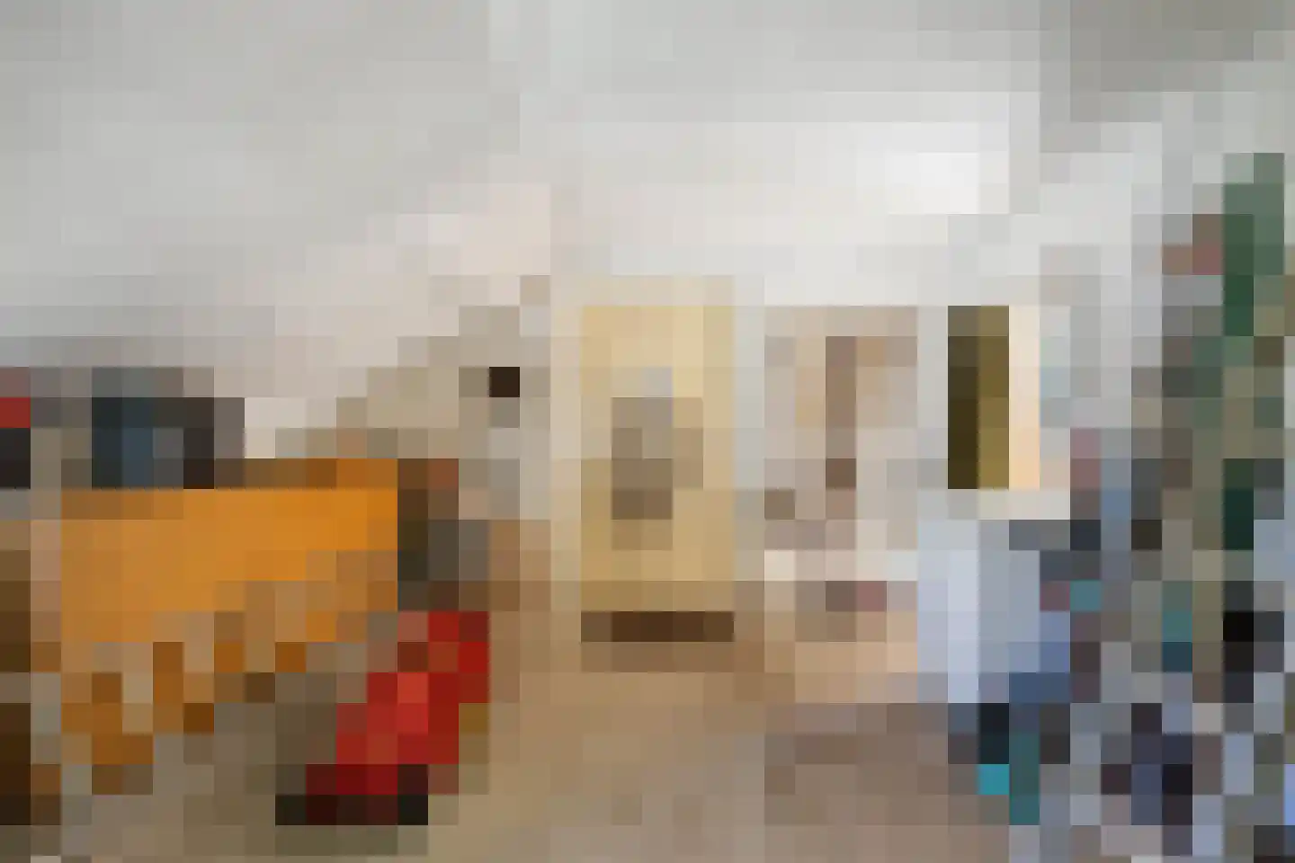Groot Maarslag 4 Mensingeweer thumbnail 42