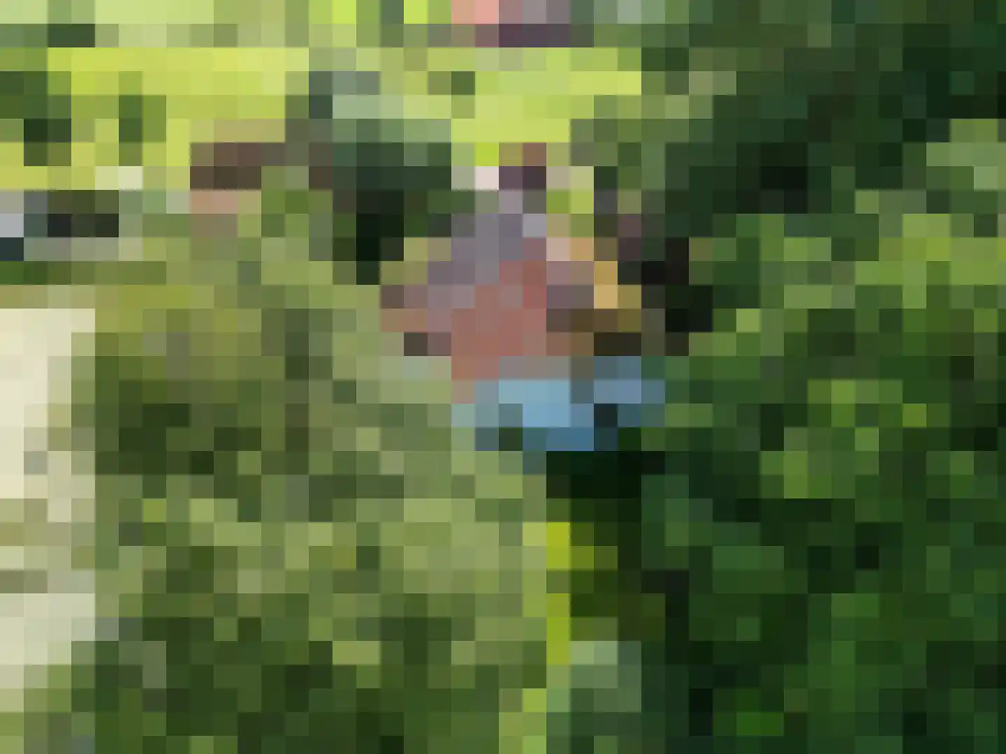 Groot Maarslag 4 Mensingeweer thumbnail 5