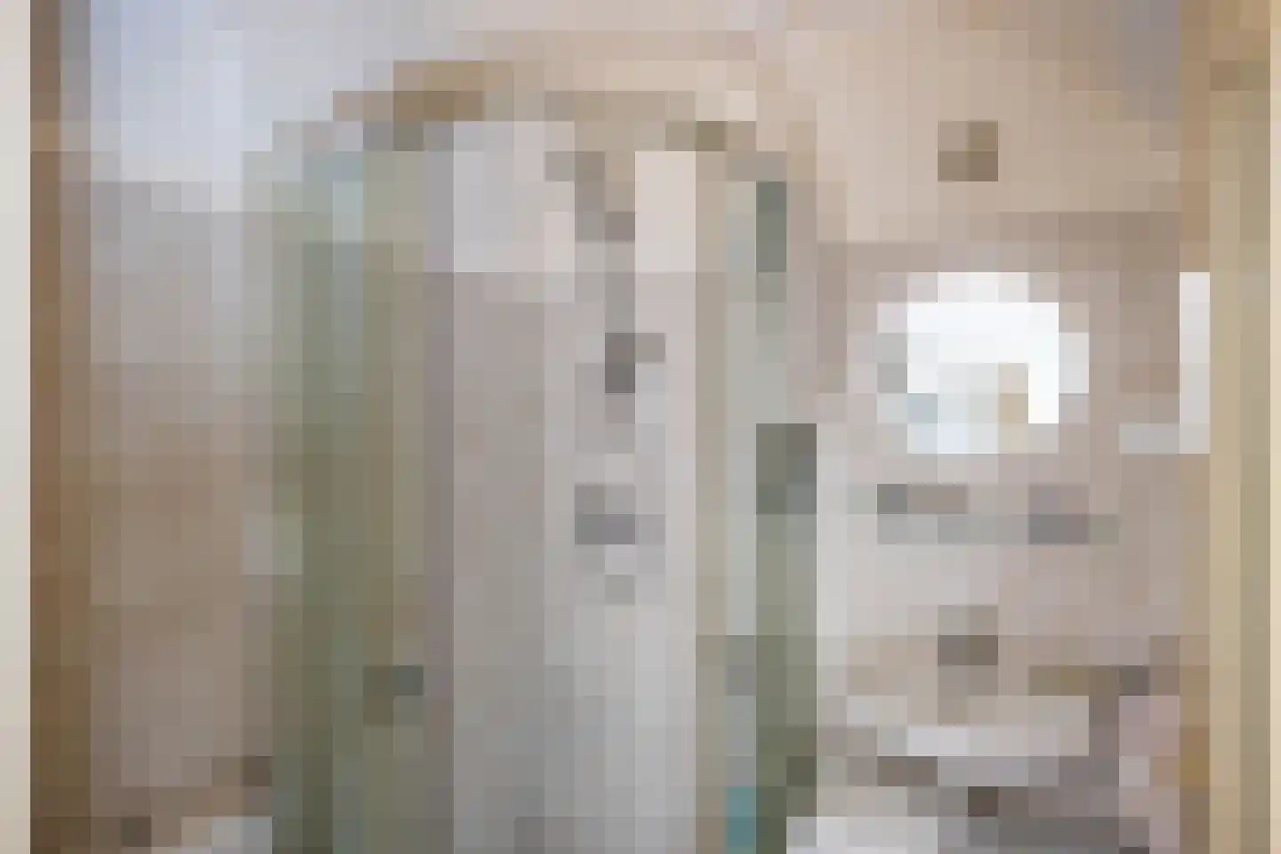 Groot Maarslag 4 Mensingeweer thumbnail 50