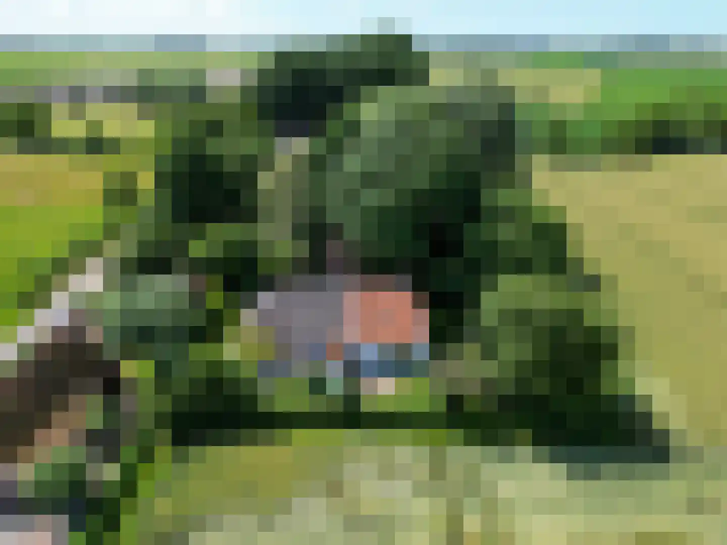 Groot Maarslag 4 Mensingeweer thumbnail 6