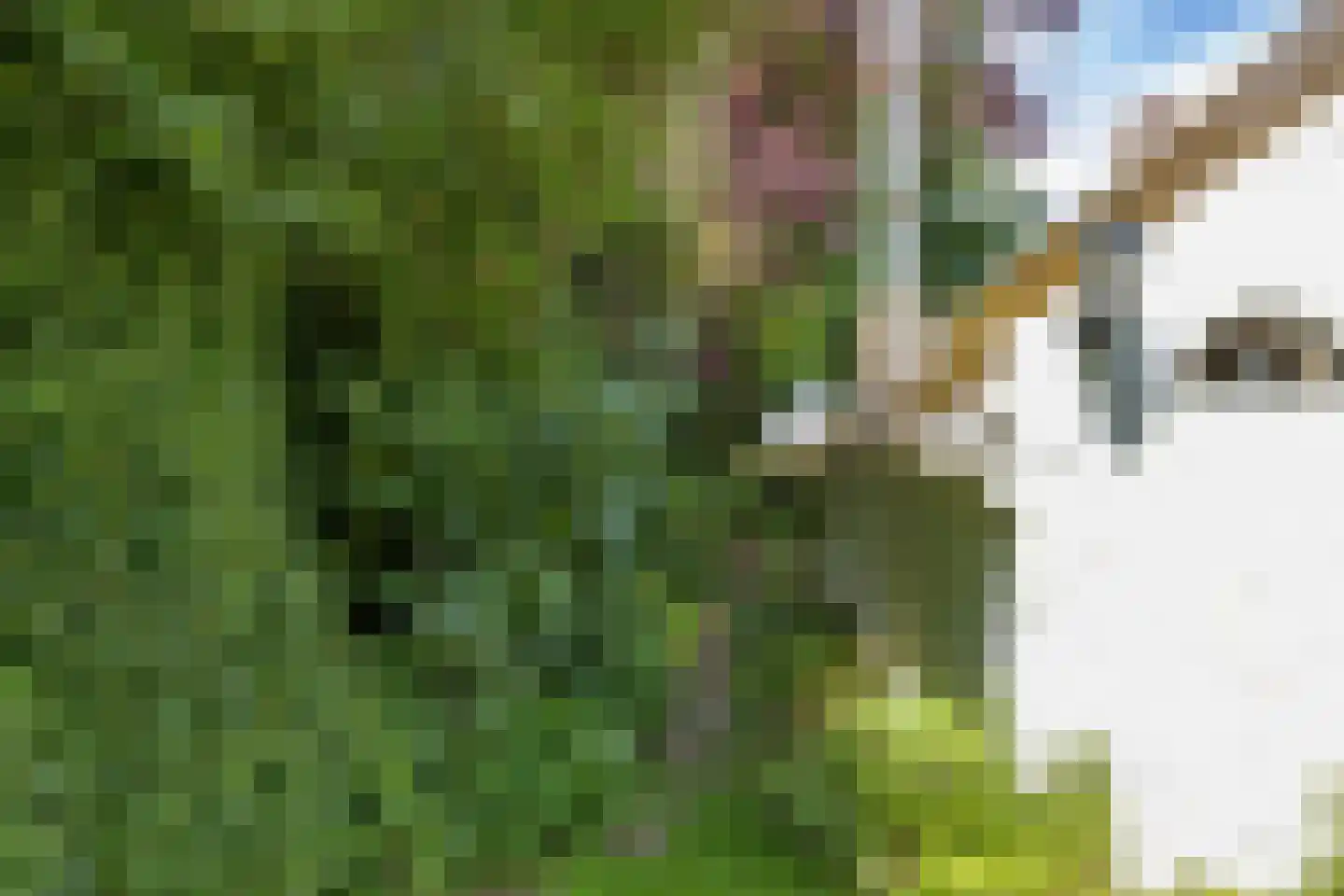 Groot Maarslag 4 Mensingeweer thumbnail 65