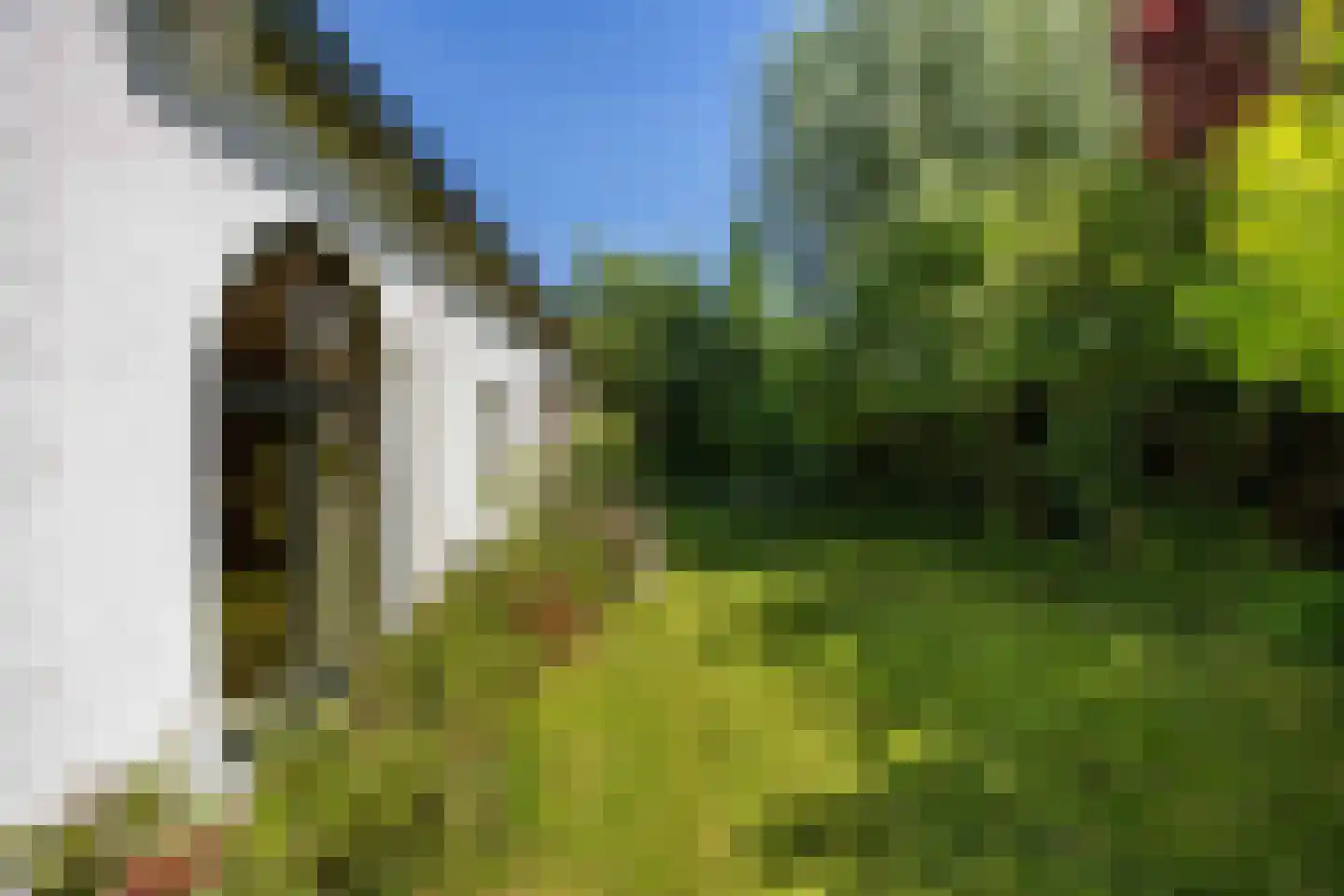 Groot Maarslag 4 Mensingeweer thumbnail 66