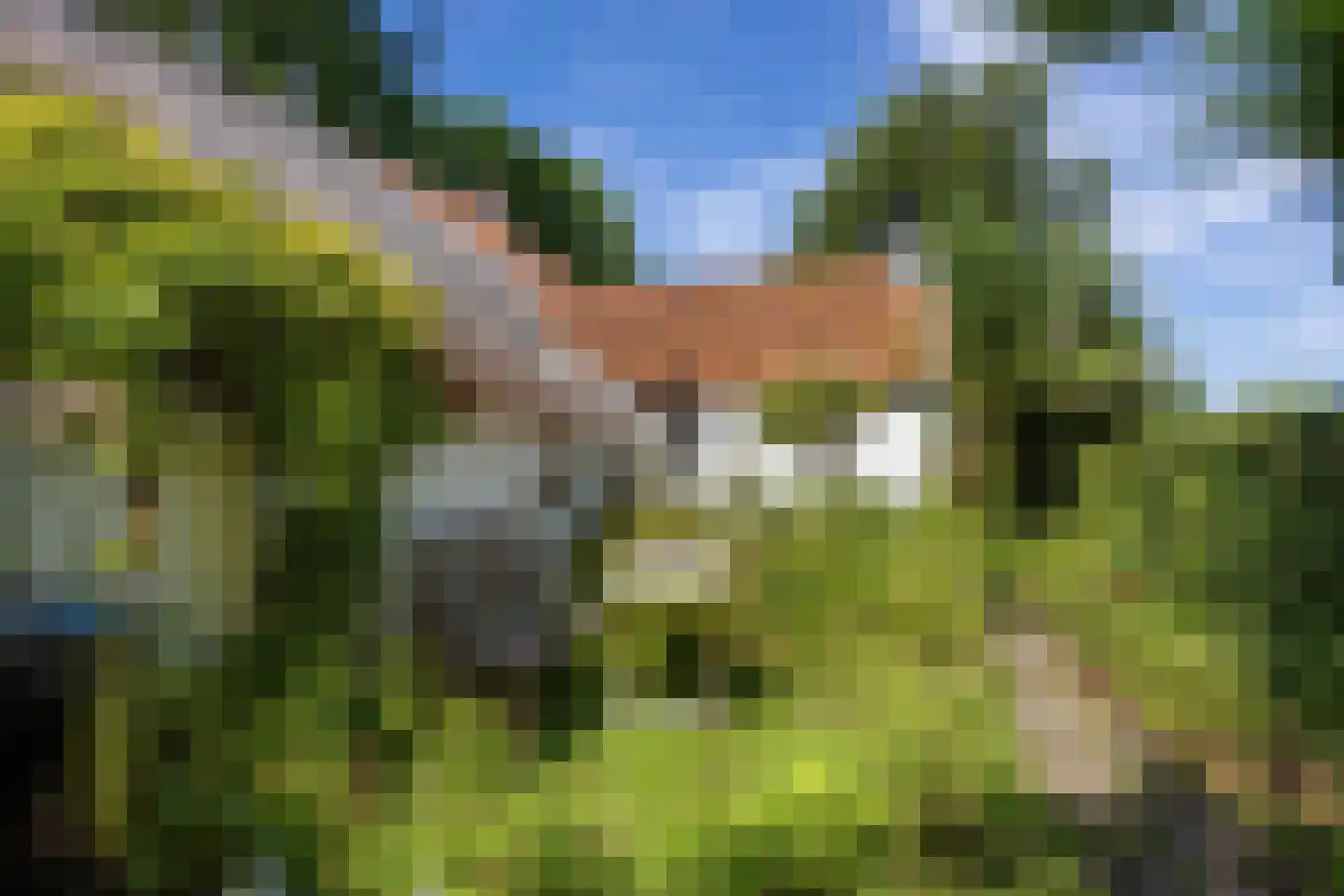 Groot Maarslag 4 Mensingeweer thumbnail 69