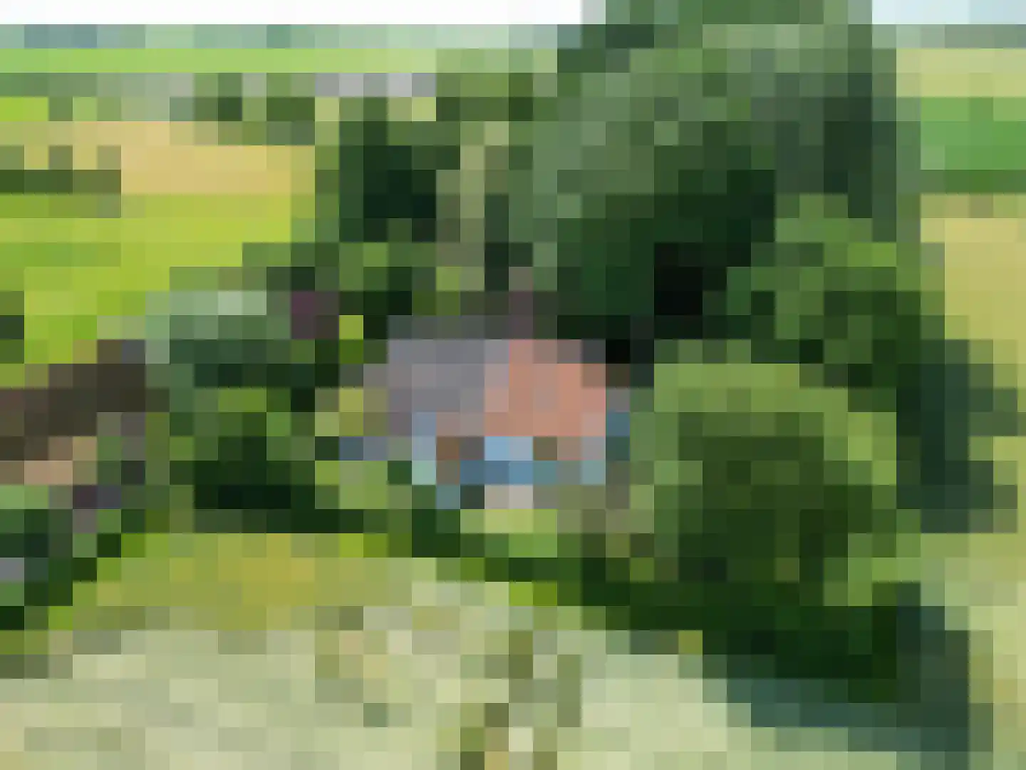 Groot Maarslag 4 Mensingeweer thumbnail 7