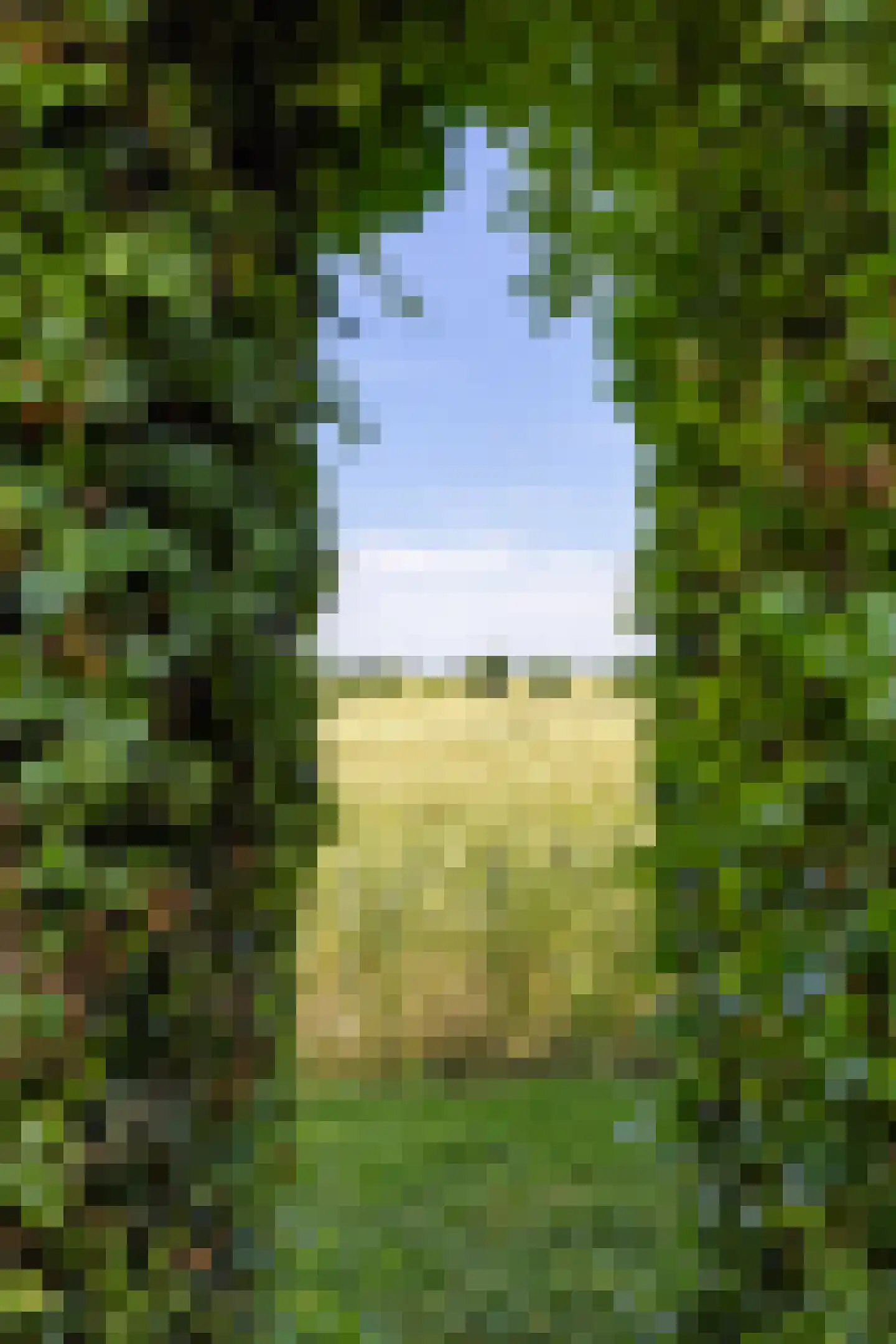 Groot Maarslag 4 Mensingeweer thumbnail 70