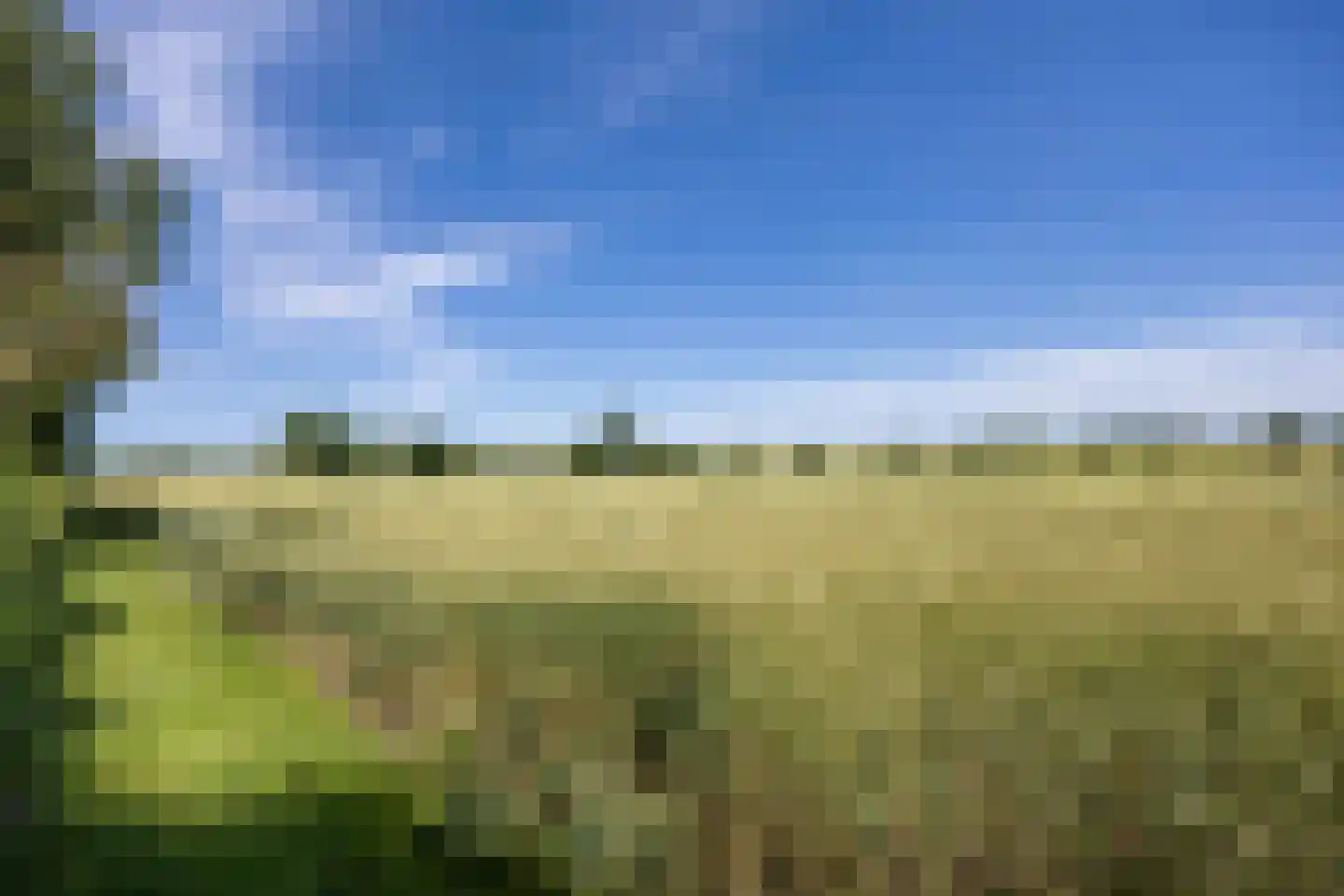 Groot Maarslag 4 Mensingeweer thumbnail 71