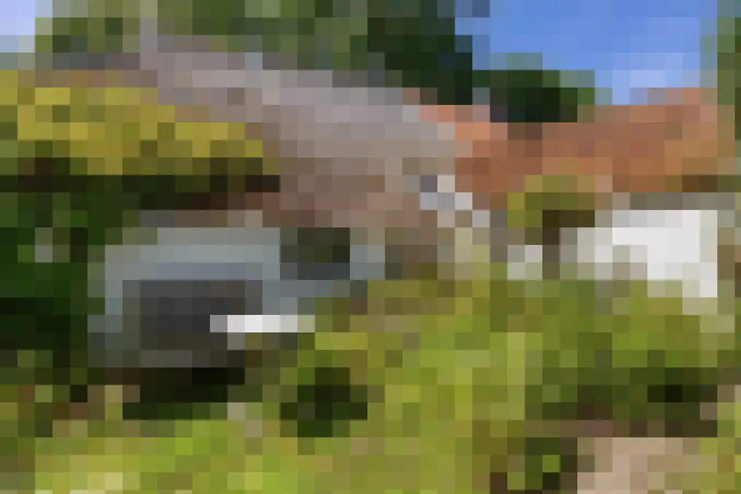 Groot Maarslag 4 Mensingeweer thumbnail 73