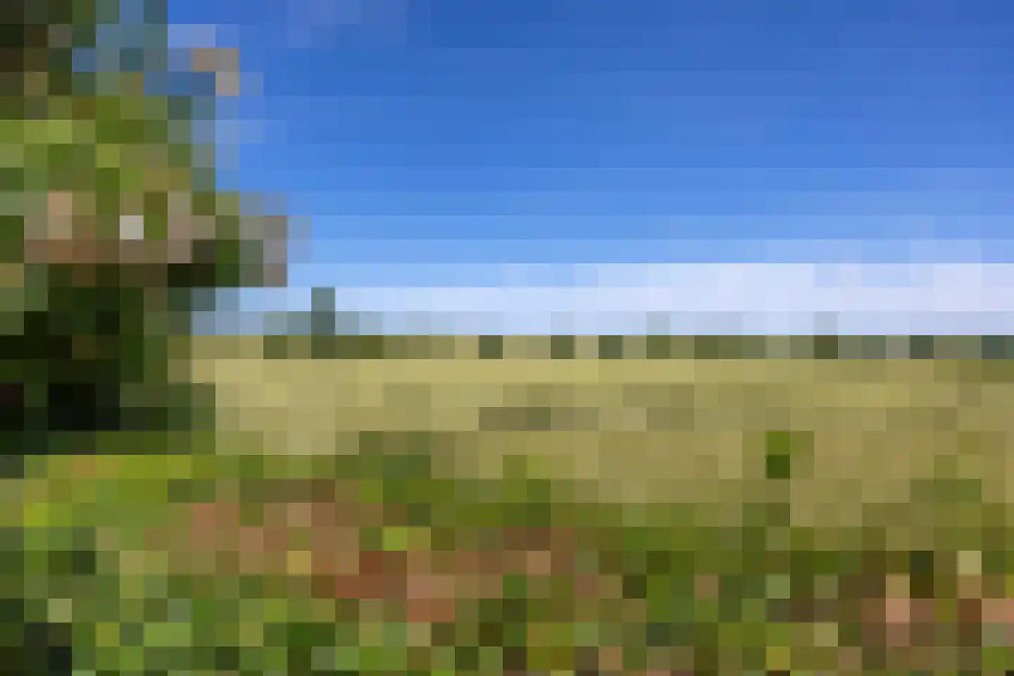 Groot Maarslag 4 Mensingeweer thumbnail 74