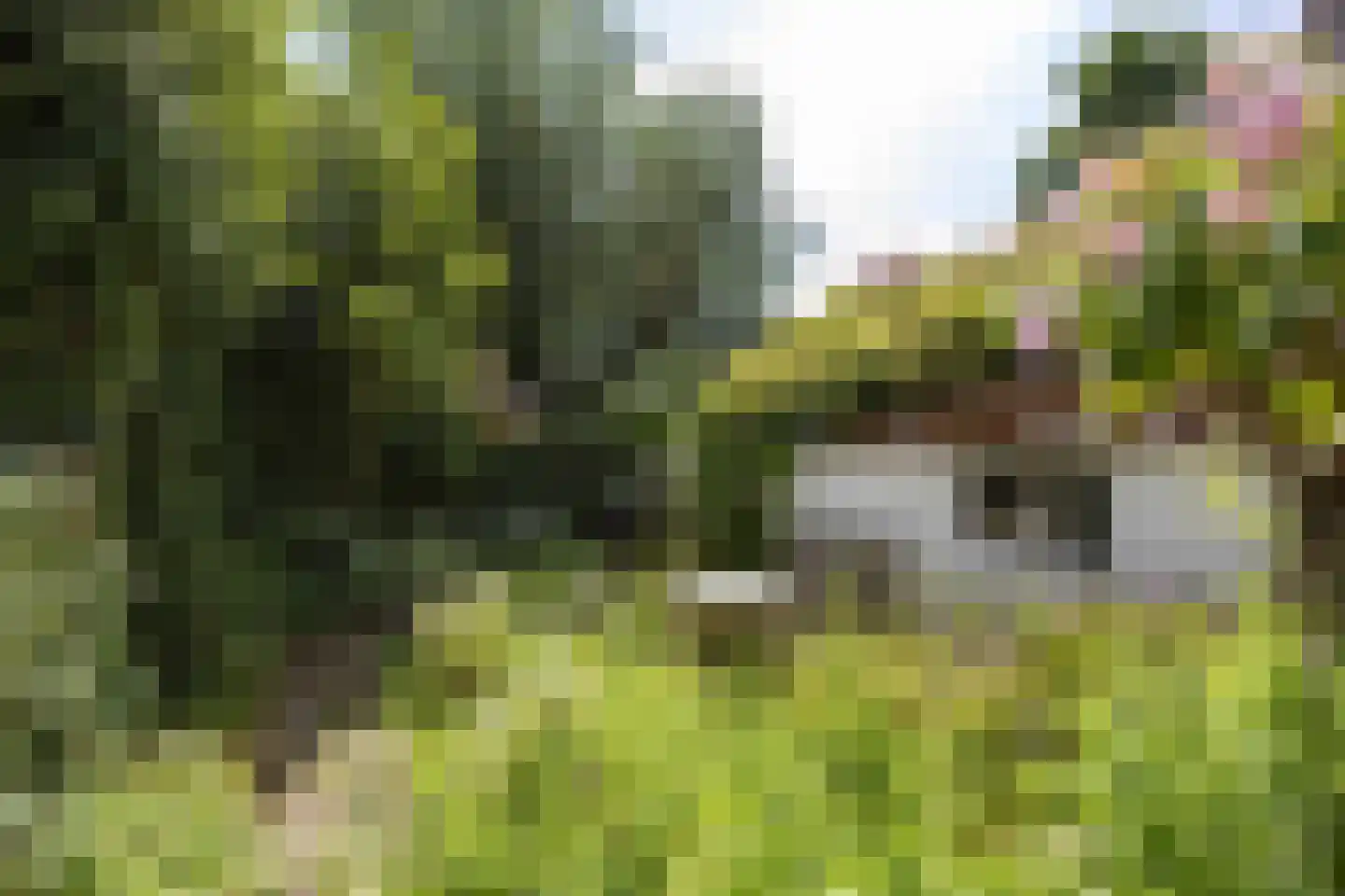 Groot Maarslag 4 Mensingeweer thumbnail 75