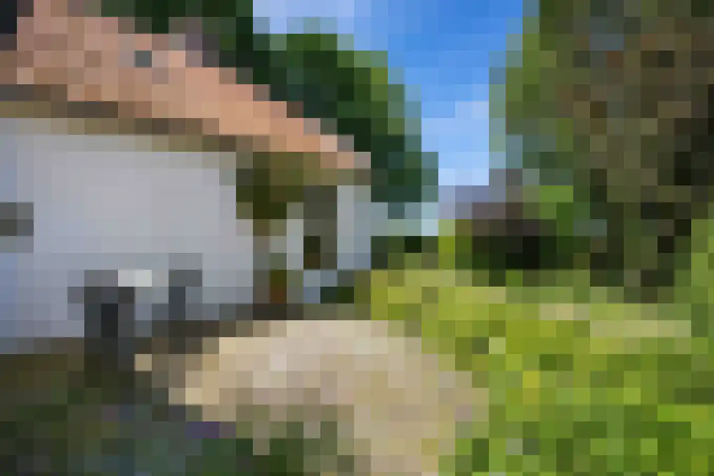 Groot Maarslag 4 Mensingeweer thumbnail 76