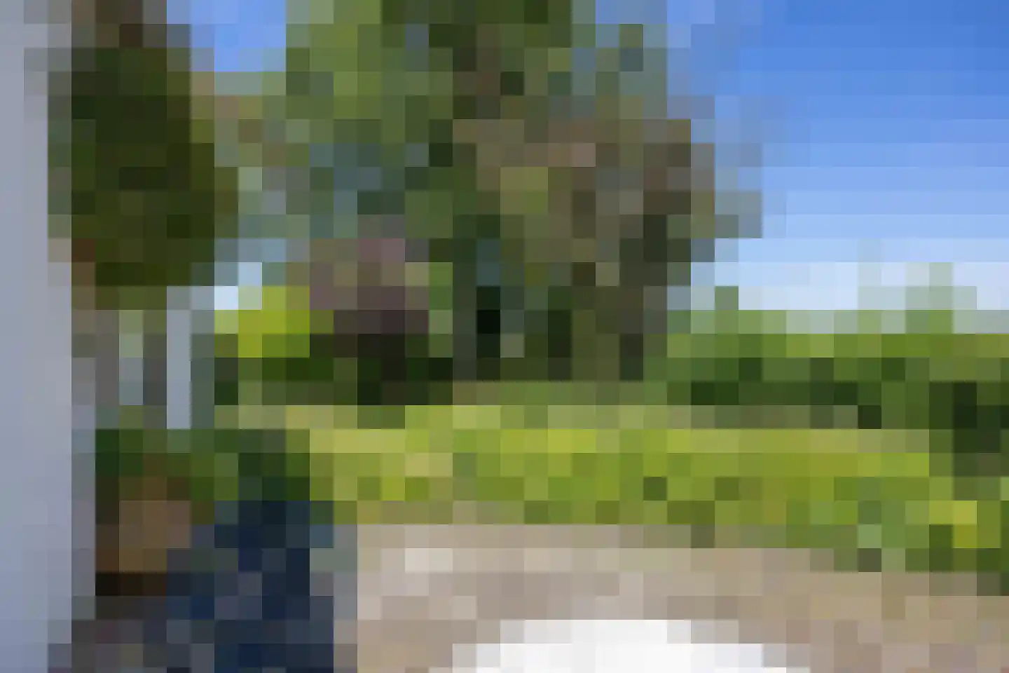 Groot Maarslag 4 Mensingeweer thumbnail 78
