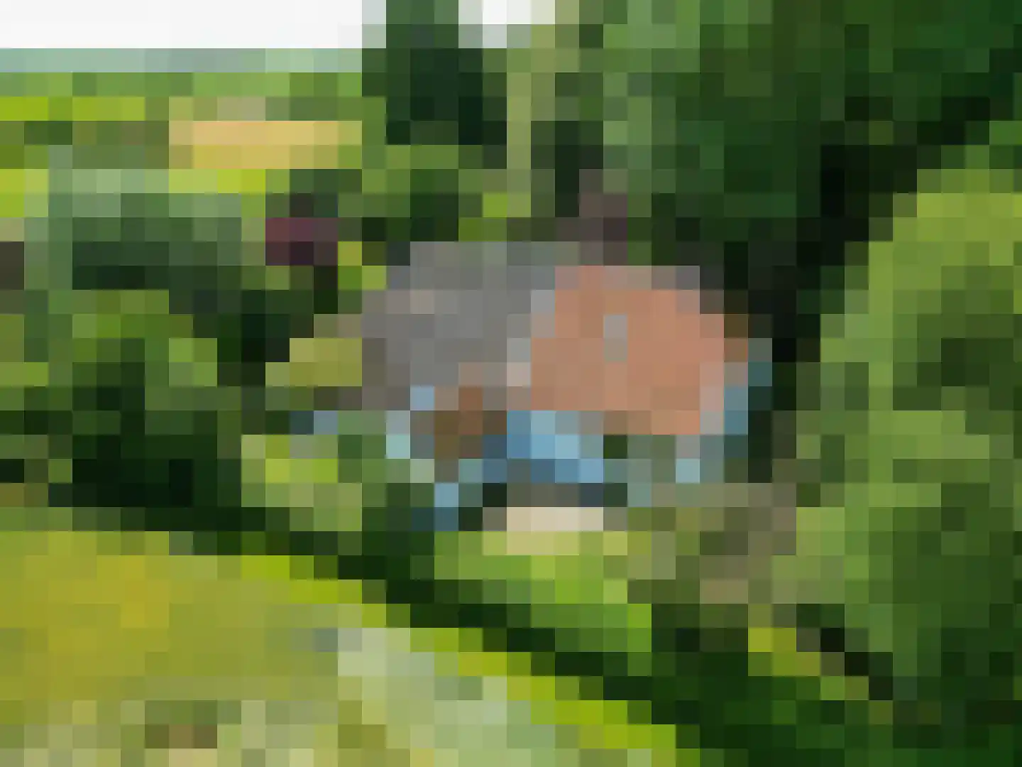 Groot Maarslag 4 Mensingeweer thumbnail 8
