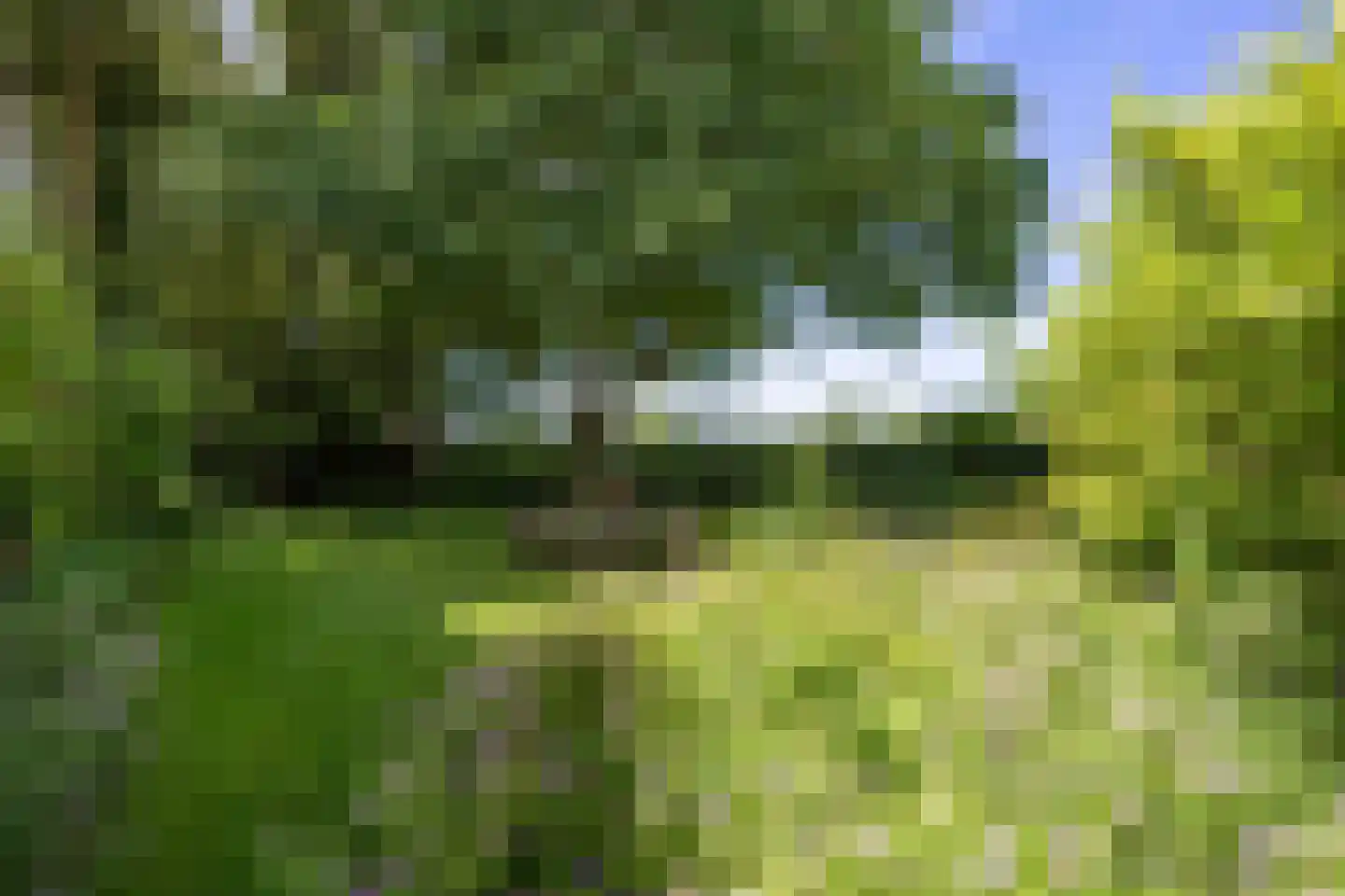 Groot Maarslag 4 Mensingeweer thumbnail 80