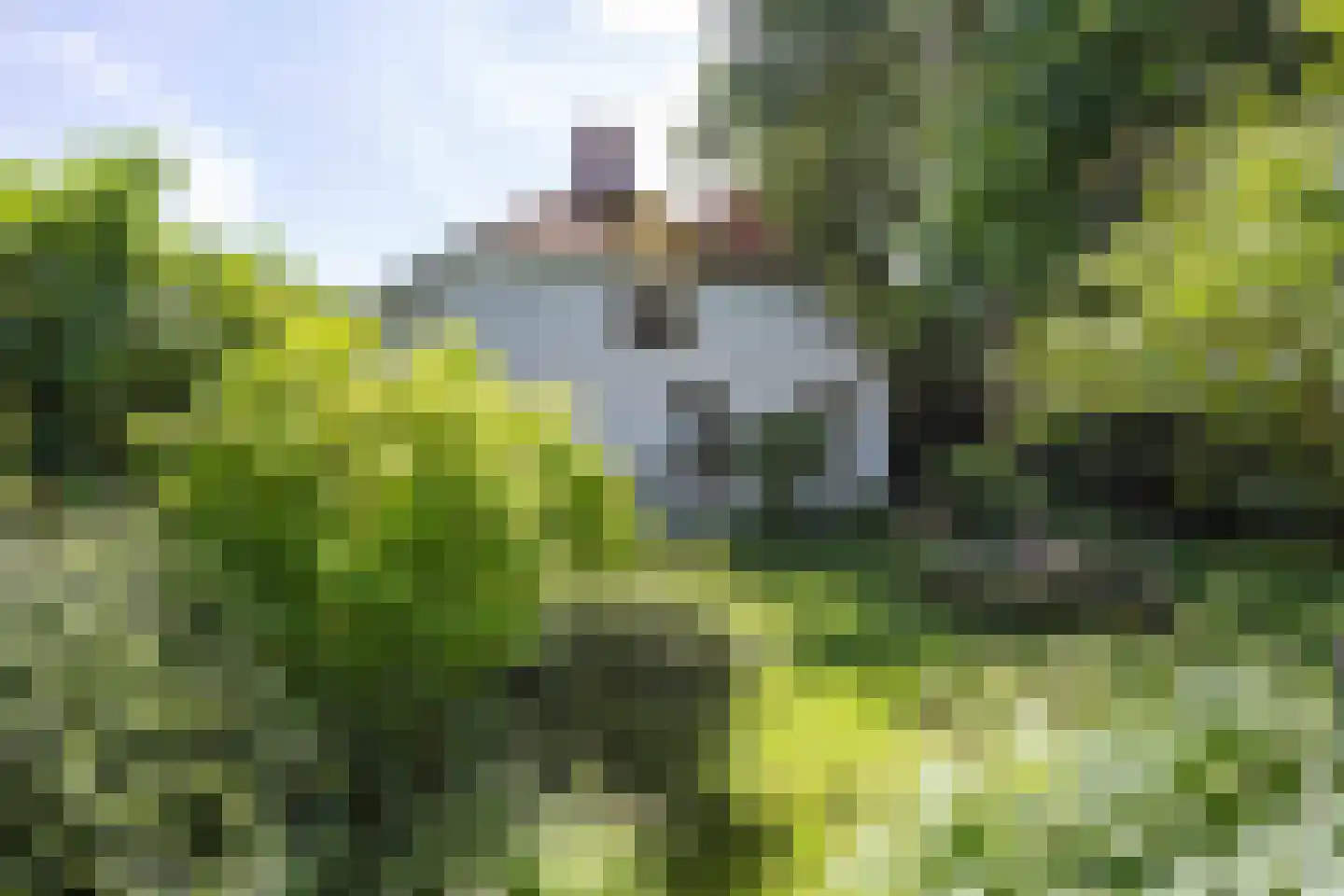 Groot Maarslag 4 Mensingeweer thumbnail 82