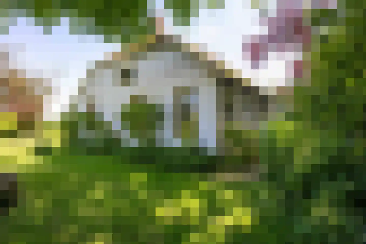 Groot Maarslag 4 Mensingeweer thumbnail 85