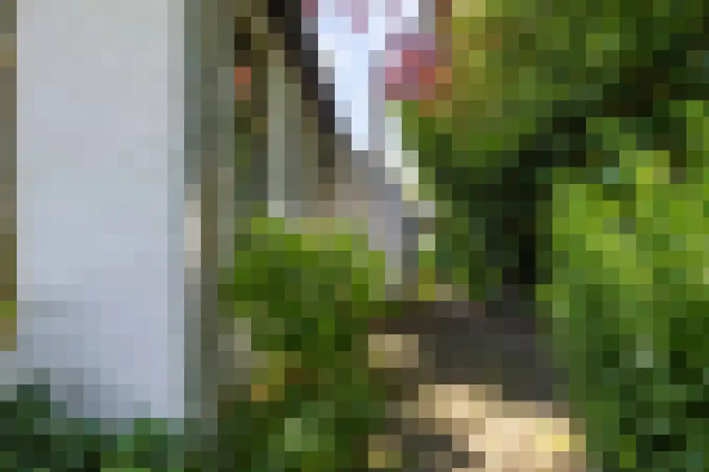 Groot Maarslag 4 Mensingeweer thumbnail 86