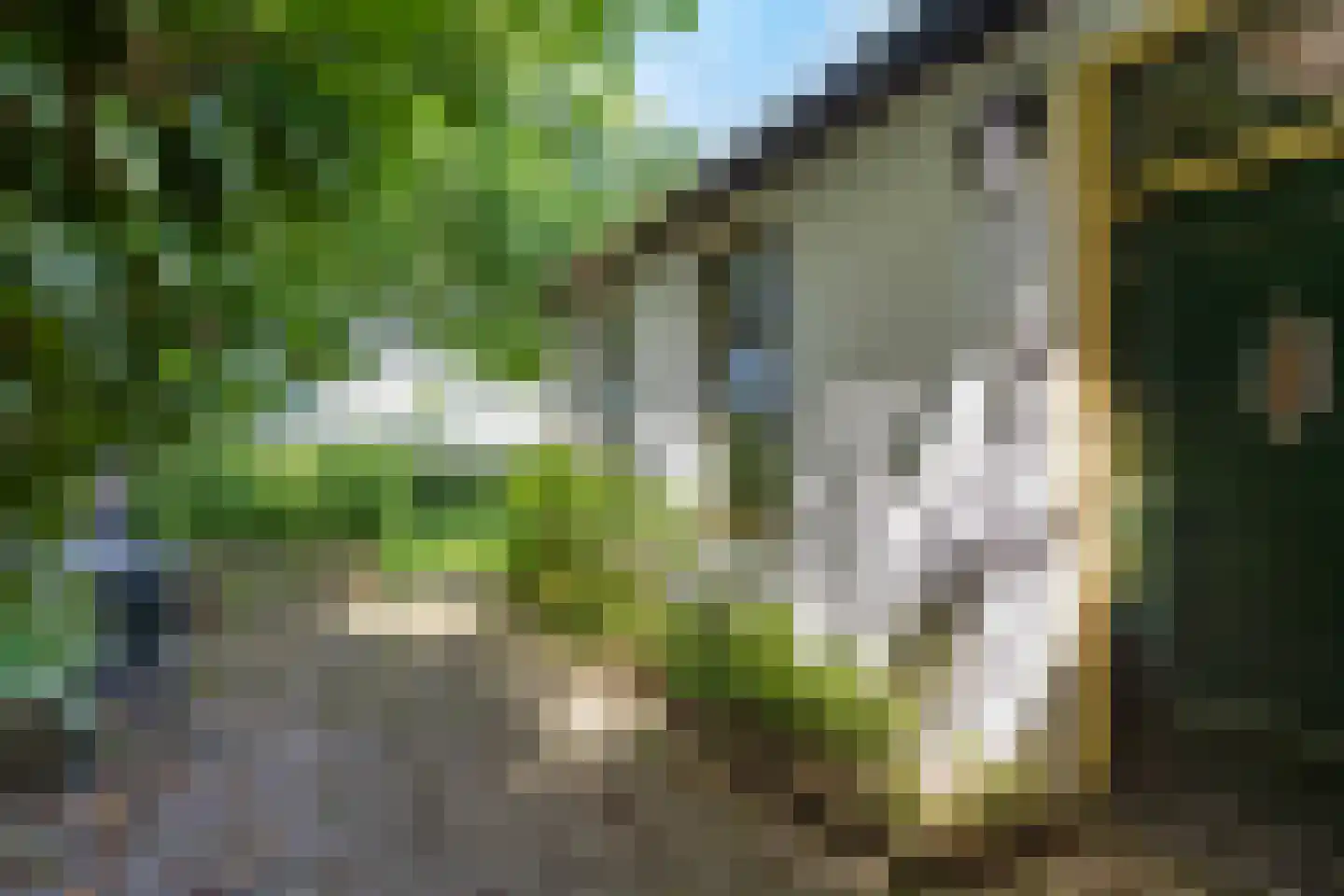 Groot Maarslag 4 Mensingeweer thumbnail 87
