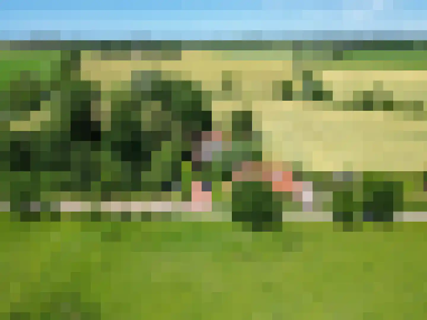 Groot Maarslag 4 Mensingeweer thumbnail 9