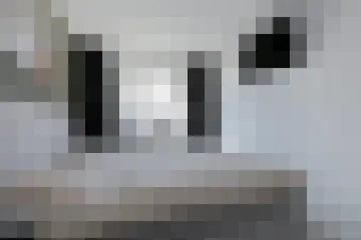 Groot Middendorp 11 Hoevelaken thumbnail 15