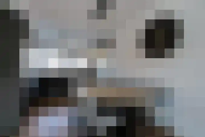 Groot Middendorp 11 Hoevelaken thumbnail 7