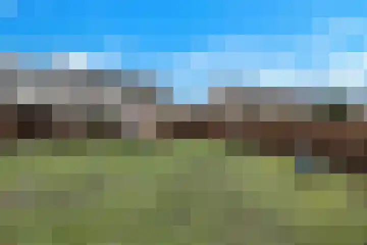 Groot Middendorp 47 Hoevelaken thumbnail 32