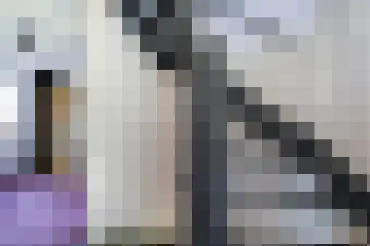 Groot Middendorp 7 Hoevelaken thumbnail 24