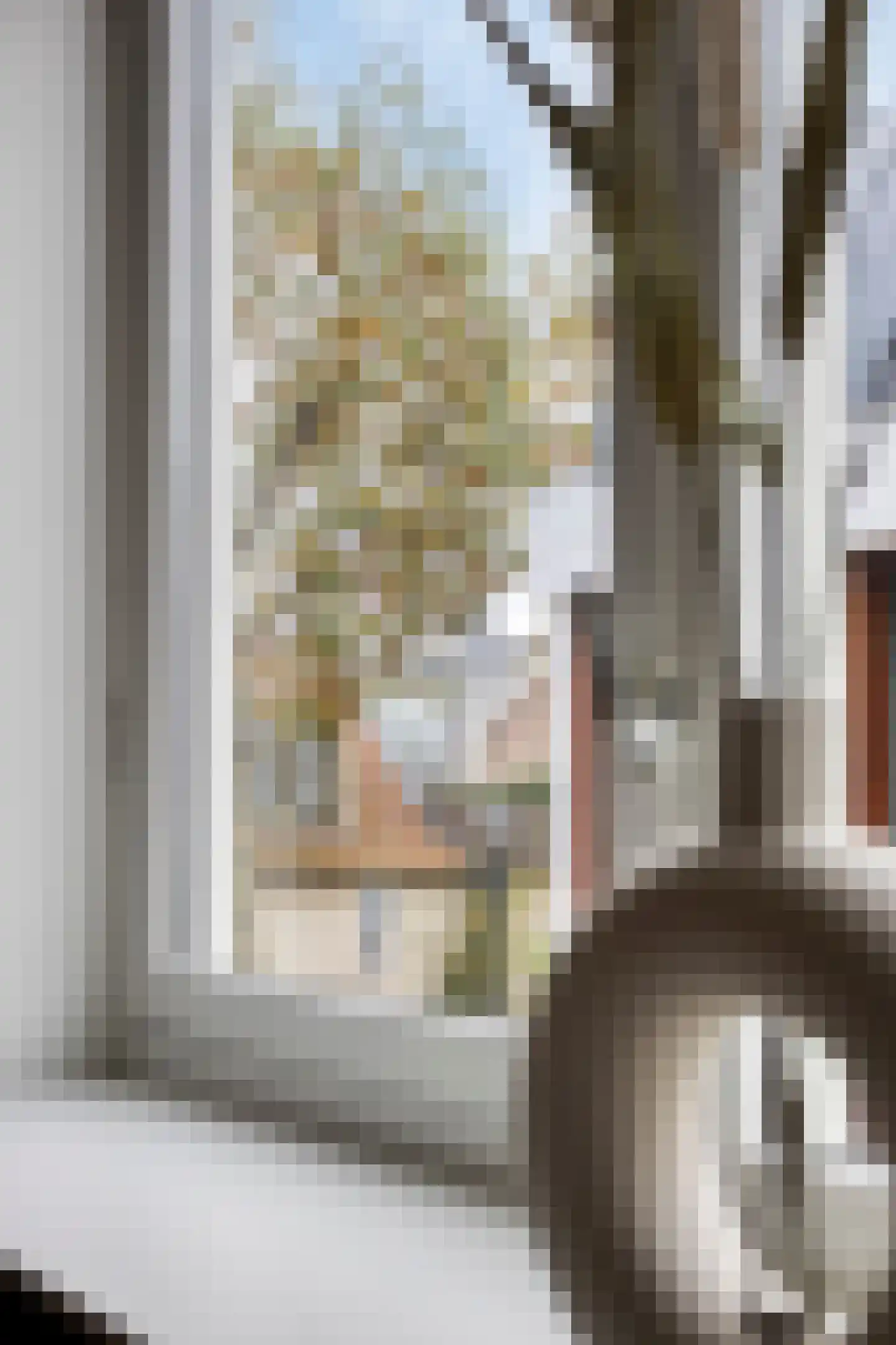 Groot Nieuwland 19 Alkmaar thumbnail 28