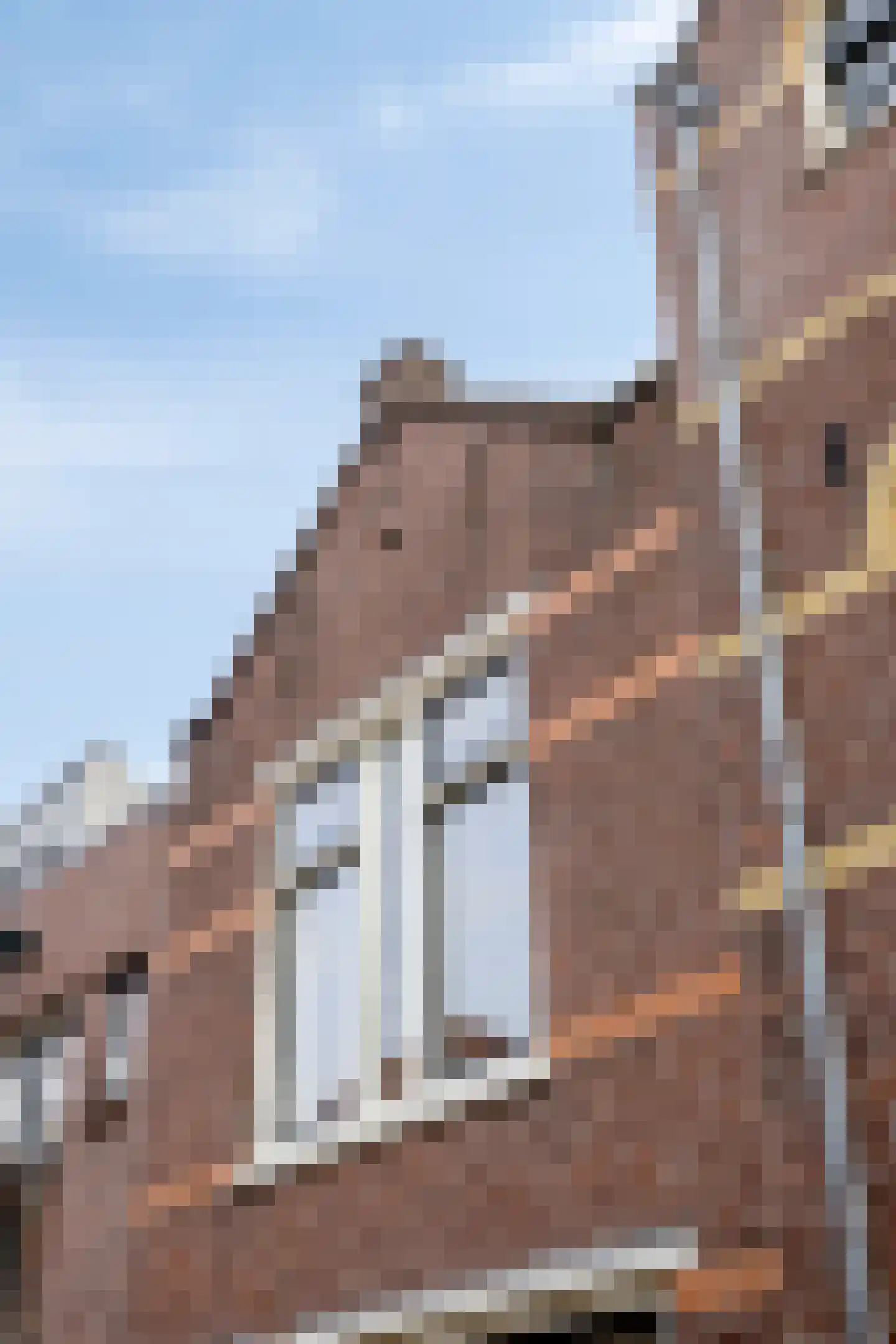 Groot Nieuwland 19 Alkmaar thumbnail 4