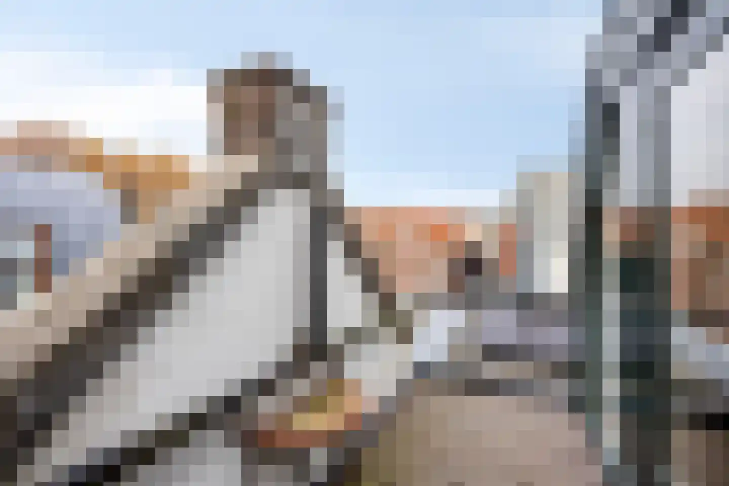 Groot Nieuwland 19 Alkmaar thumbnail 41