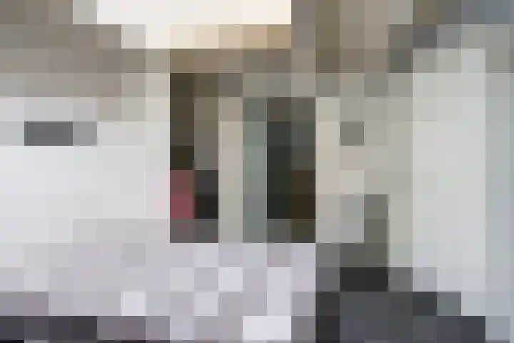 Groot Nieuwland 20 Alkmaar thumbnail 20