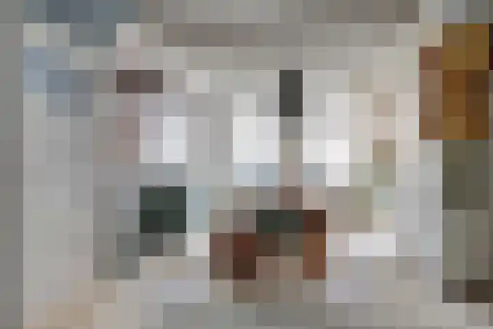 Groot Nieuwland 20 Alkmaar thumbnail 7
