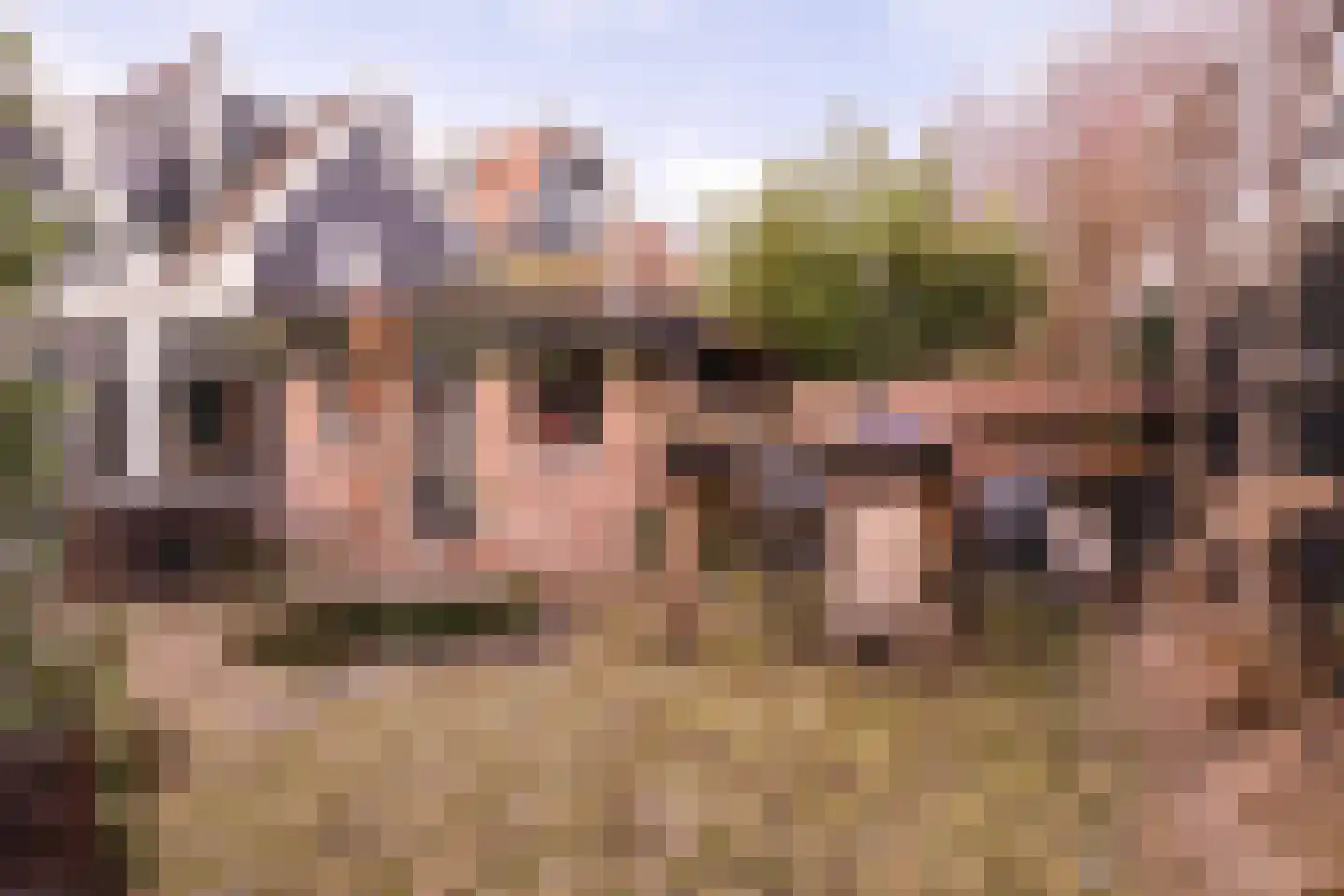 Groot Nieuwland 45 Alkmaar thumbnail 23
